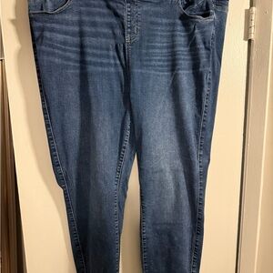 Torrid Women's Dark Blue Skinny Jeans